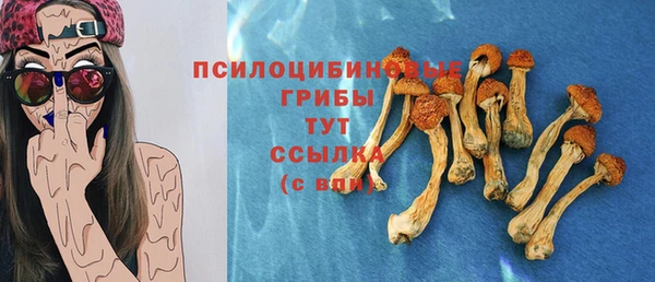 MDMA Белокуриха