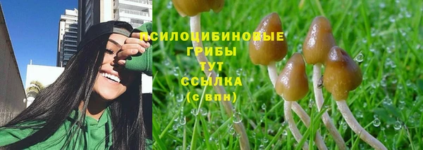 MDMA Белокуриха