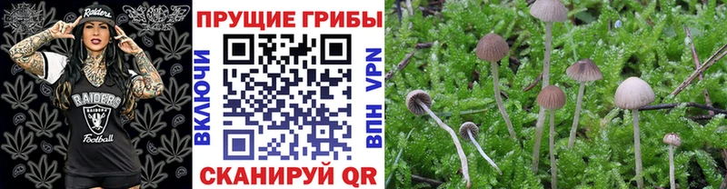 Псилоцибиновые грибы Magic Shrooms  Купить закладки  Маркс 